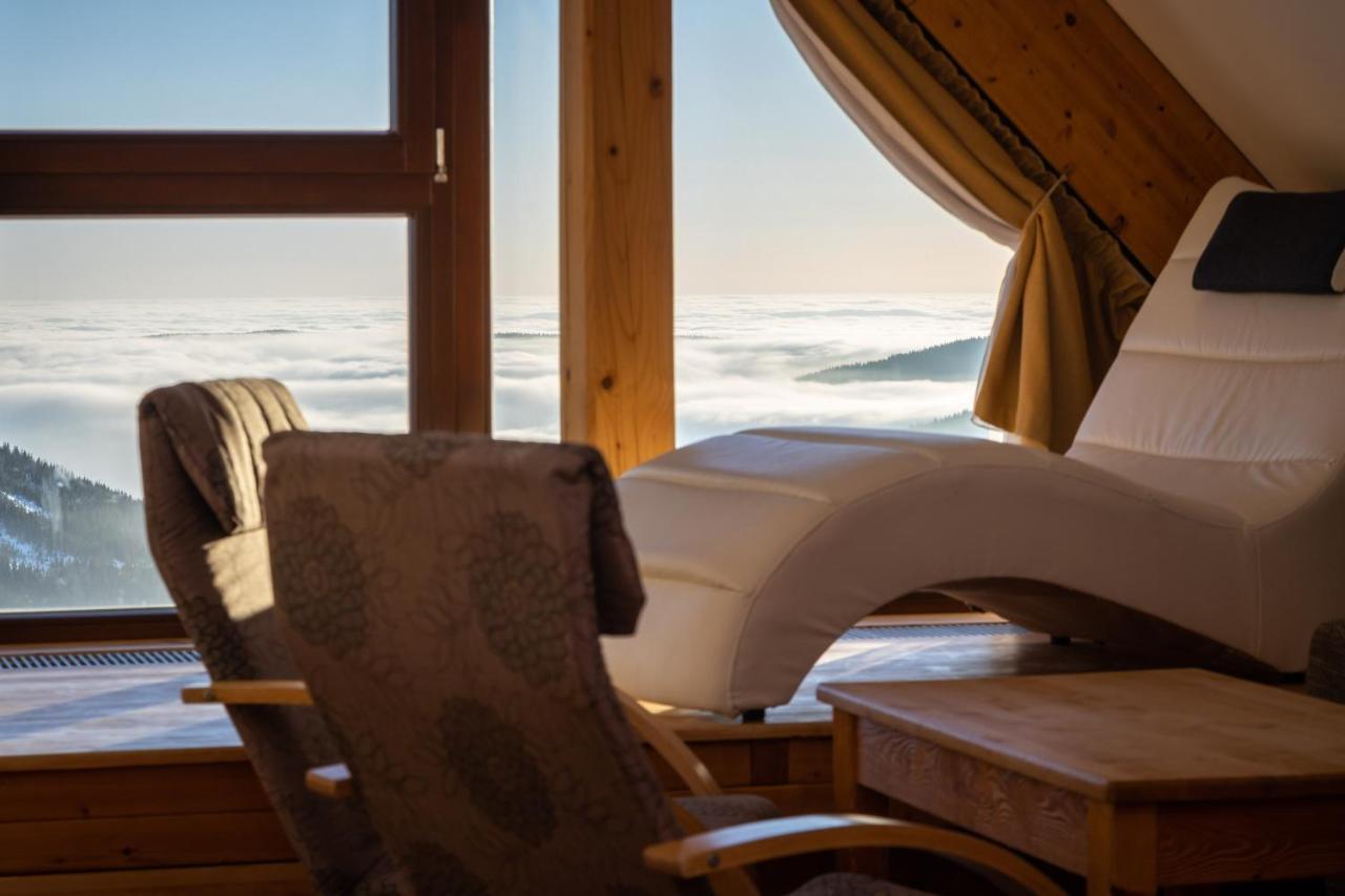 Erlebachova Bouda, - Svaty Frantisek Hotel